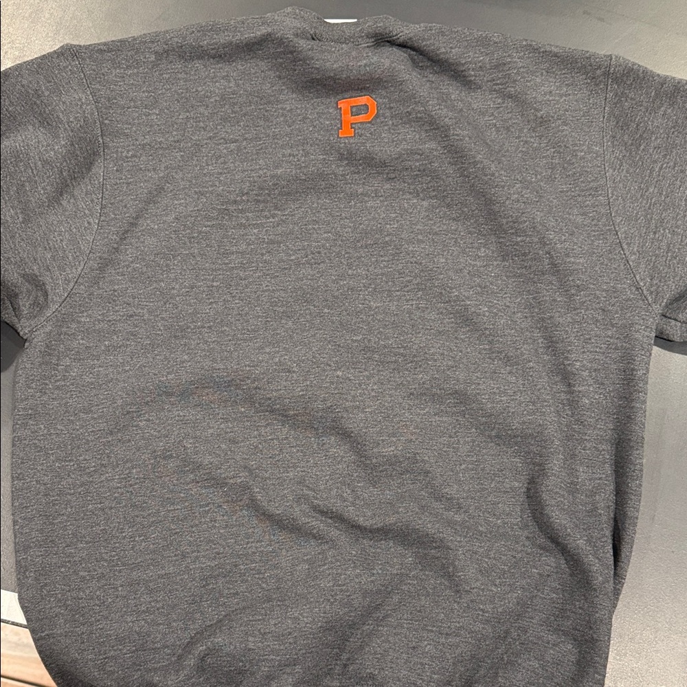 Champion Gray Princeton University Crewneck Sweater - Picture 3 of 3